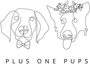 Plus one pups